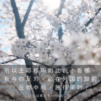 Picture 03 - 以 西 结 书 5:8 CUVS - 所 以 主 耶 和 华 如 此 说 ： 看 哪 - Bible Verse Picture