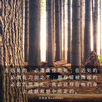 Picture 03 - 以 西 结 书 6:12 CUVS - 在 远 处 的 ， 必 遭 瘟 疫 而 死 ； - Bible Verse Picture