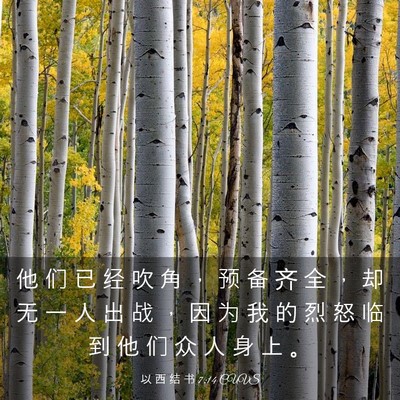 Picture 03 - 以 西 结 书 7:14 CUVS - 他 们 已 经 吹 角 ， 预 备 齐 全 ， - Bible Verse Picture