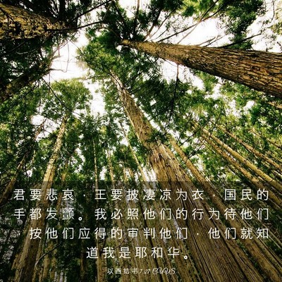 Picture 03 - 以 西 结 书 7:27 CUVS - 君 要 悲 哀 ， 王 要 披 凄 凉 为 衣 - Bible Verse Picture