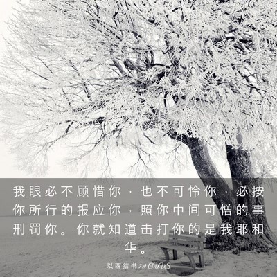 Picture 03 - 以 西 结 书 7:9 CUVS - 我 眼 必 不 顾 惜 你 ， 也 不 可 怜 - Bible Verse Picture