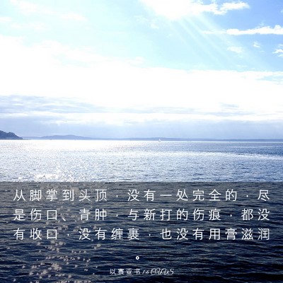 Picture 03 - 以 赛 亚 书 1:6 CUVS - 从 脚 掌 到 头 顶 ， 没 有 一 处 完 - Bible Verse Picture