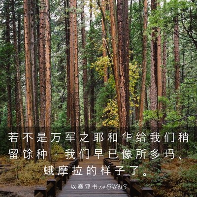 Picture 03 - 以 赛 亚 书 1:9 CUVS - 若 不 是 万 军 之 耶 和 华 给 我 们 - Bible Verse Picture