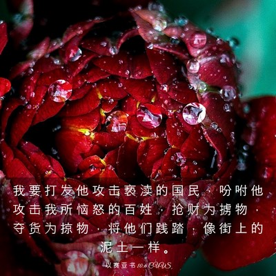 Picture 03 - 以 赛 亚 书 10:6 CUVS - 我 要 打 发 他 攻 击 亵 渎 的 国 民 - Bible Verse Picture
