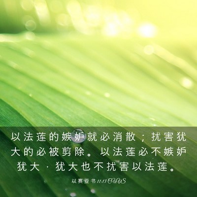 Picture 03 - 以 赛 亚 书 11:13 CUVS - 以 法 莲 的 嫉 妒 就 必 消 散 ； 扰 - Bible Verse Picture