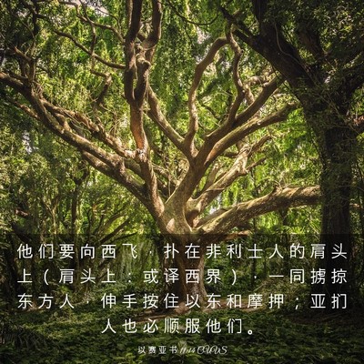 Picture 03 - 以 赛 亚 书 11:14 CUVS - 他 们 要 向 西 飞 ， 扑 在 非 利 士 - Bible Verse Picture