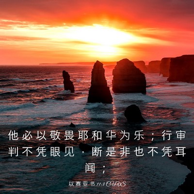 Picture 03 - 以 赛 亚 书 11:3 CUVS - 他 必 以 敬 畏 耶 和 华 为 乐 ； 行 - Bible Verse Picture