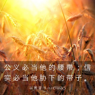 Picture 03 - 以 赛 亚 书 11:5 CUVS - 公 义 必 当 他 的 腰 带 ； 信 实 必 - Bible Verse Picture