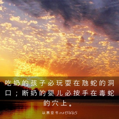 Picture 03 - 以 赛 亚 书 11:8 CUVS - 吃 奶 的 孩 子 必 玩 耍 在 虺 蛇 的 - Bible Verse Picture
