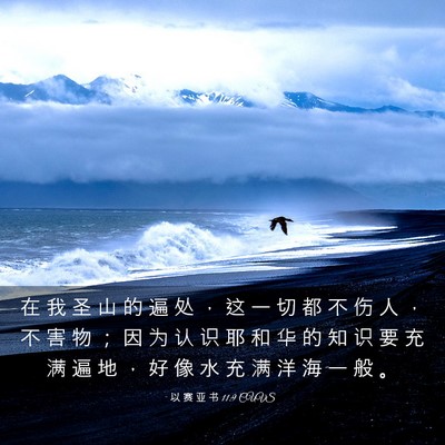 Picture 03 - 以 赛 亚 书 11:9 CUVS - 在 我 圣 山 的 遍 处 ， 这 一 切 都 - Bible Verse Picture