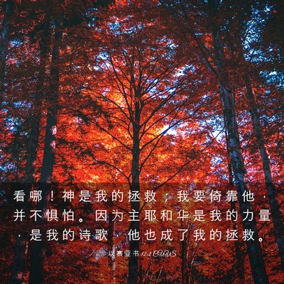 Picture 03 - 以 赛 亚 书 12:2 CUVS - 看 哪 ！ 神 是 我 的 拯 救 ； 我 要 - Bible Verse Picture