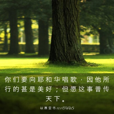 Picture 03 - 以 赛 亚 书 12:5 CUVS - 你 们 要 向 耶 和 华 唱 歌 ， 因 他 - Bible Verse Picture