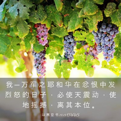 Picture 03 - 以 赛 亚 书 13:13 CUVS - 我 ─ 万 军 之 耶 和 华 在 忿 恨 中 - Bible Verse Picture