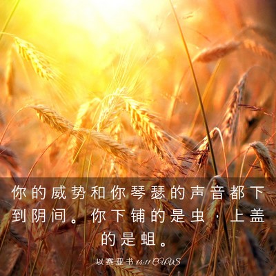 Picture 03 - 以 赛 亚 书 14:11 CUVS - 你 的 威 势 和 你 琴 瑟 的 声 音 都 - Bible Verse Picture