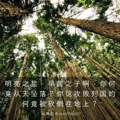 Picture 03 - 以 赛 亚 书 14:12 CUVS - 明 亮 之 星 ， 早 晨 之 子 啊 ， 你 - Bible Verse Picture