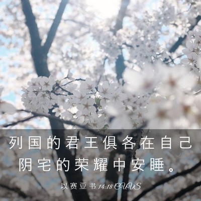 Picture 03 - 以 赛 亚 书 14:18 CUVS - 列 国 的 君 王 俱 各 在 自 己 阴 宅 - Bible Verse Picture