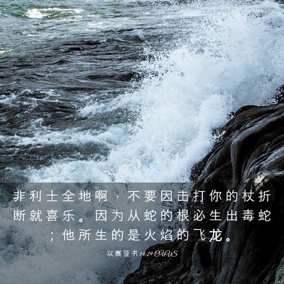 Picture 03 - 以 赛 亚 书 14:29 CUVS - 非 利 士 全 地 啊 ， 不 要 因 击 打 - Bible Verse Picture