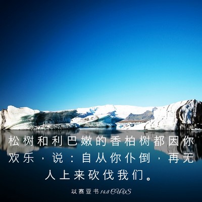 Picture 03 - 以 赛 亚 书 14:8 CUVS - 松 树 和 利 巴 嫩 的 香 柏 树 都 因 - Bible Verse Picture