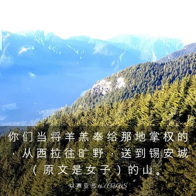 Picture 03 - 以 赛 亚 书 16:1 CUVS - 你 们 当 将 羊 羔 奉 给 那 地 掌 权 - Bible Verse Picture