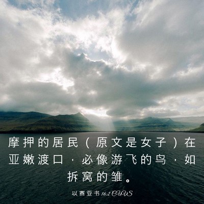 Picture 03 - 以 赛 亚 书 16:2 CUVS - 摩 押 的 居 民 （ 原 文 是 女 子 ） - Bible Verse Picture
