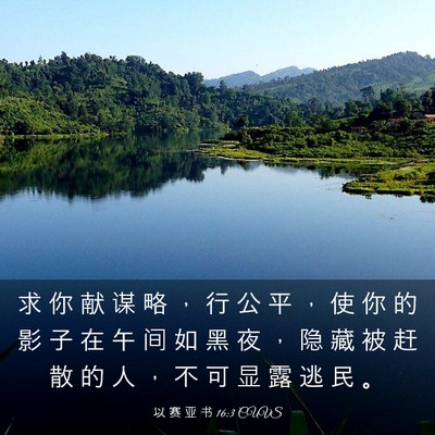 Picture 03 - 以 赛 亚 书 16:3 CUVS - 求 你 献 谋 略 ， 行 公 平 ， 使 你 - Bible Verse Picture