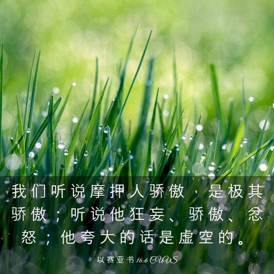 Picture 03 - 以 赛 亚 书 16:6 CUVS - 我 们 听 说 摩 押 人 骄 傲 ， 是 极 - Bible Verse Picture