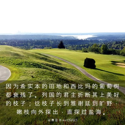 Picture 03 - 以 赛 亚 书 16:8 CUVS - 因 为 希 实 本 的 田 地 和 西 比 玛 - Bible Verse Picture