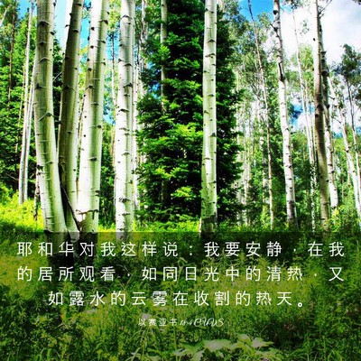 Picture 03 - 以 赛 亚 书 18:4 CUVS - 耶 和 华 对 我 这 样 说 ： 我 要 安 - Bible Verse Picture