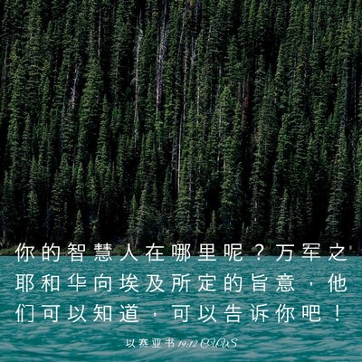Picture 03 - 以 赛 亚 书 19:12 CUVS - 你 的 智 慧 人 在 哪 里 呢 ？ 万 军 - Bible Verse Picture
