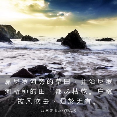 Picture 03 - 以 赛 亚 书 19:7 CUVS - 靠 尼 罗 河 旁 的 草 田 ， 并 沿 尼 - Bible Verse Picture