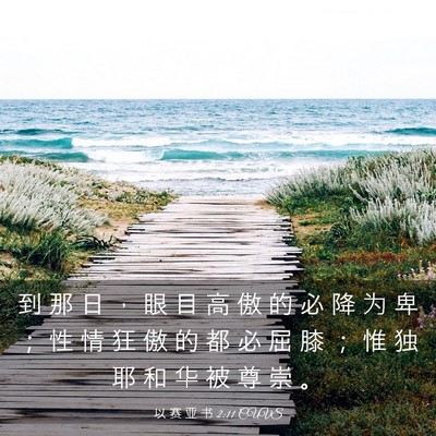 Picture 03 - 以 赛 亚 书 2:11 CUVS - 到 那 日 ， 眼 目 高 傲 的 必 降 为 - Bible Verse Picture