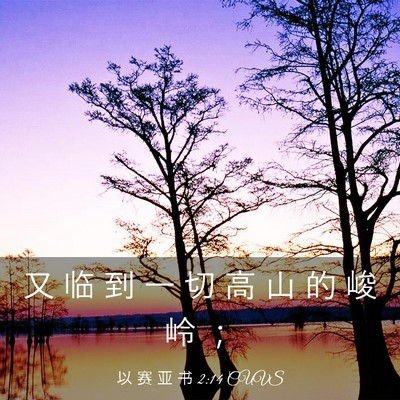 Picture 03 - 以 赛 亚 书 2:14 CUVS - 又 临 到 一 切 高 山 的 峻 岭 - Bible Verse Picture