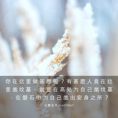 Picture 03 - 以 赛 亚 书 22:16 CUVS - 你 在 这 里 做 甚 麽 呢 ？ 有 甚 麽 - Bible Verse Picture