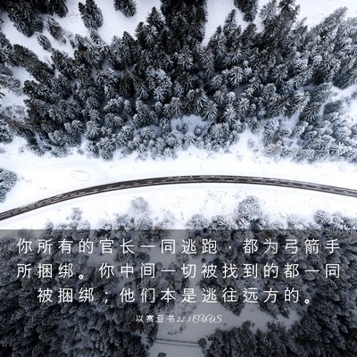 Picture 03 - 以 赛 亚 书 22:3 CUVS - 你 所 有 的 官 长 一 同 逃 跑 ， 都 - Bible Verse Picture