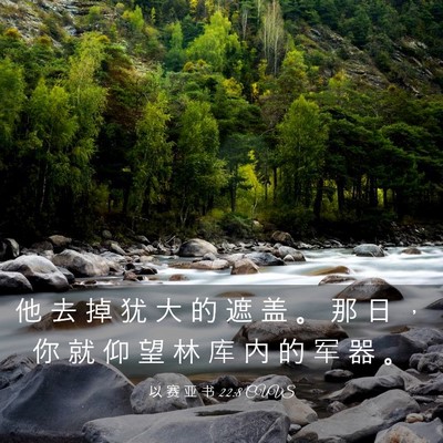 Picture 03 - 以 赛 亚 书 22:8 CUVS - 他 去 掉 犹 大 的 遮 盖 。 那 日 ， - Bible Verse Picture