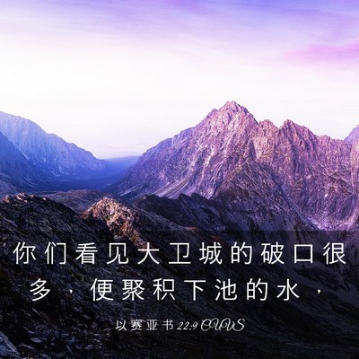 Picture 03 - 以 赛 亚 书 22:9 CUVS - 你 们 看 见 大 卫 城 的 破 口 很 多 - Bible Verse Picture