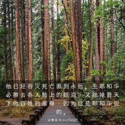 Picture 03 - 以 赛 亚 书 25:8 CUVS - 他 已 经 吞 灭 死 亡 直 到 永 远 。 - Bible Verse Picture