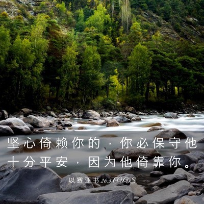Picture 03 - 以 赛 亚 书 26:3 CUVS - 坚 心 倚 赖 你 的 ， 你 必 保 守 他 - Bible Verse Picture