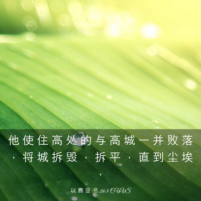 Picture 03 - 以 赛 亚 书 26:5 CUVS - 他 使 住 高 处 的 与 高 城 一 并 败 - Bible Verse Picture