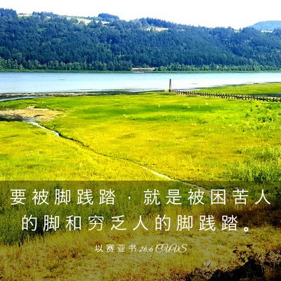 Picture 03 - 以 赛 亚 书 26:6 CUVS - 要 被 脚 践 踏 ， 就 是 被 困 苦 人 - Bible Verse Picture