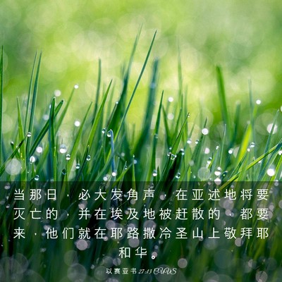 Picture 03 - 以 赛 亚 书 27:13 CUVS - 当 那 日 ， 必 大 发 角 声 ， 在 亚 - Bible Verse Picture