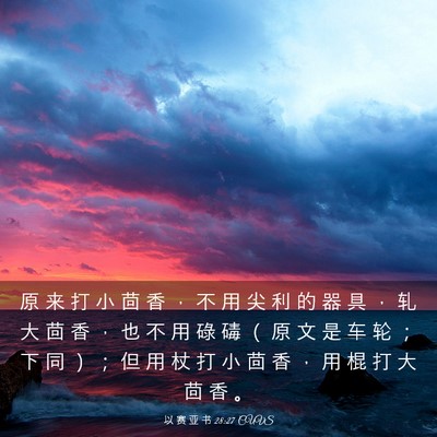 Picture 03 - 以 赛 亚 书 28:27 CUVS - 原 来 打 小 茴 香 ， 不 用 尖 利 的 - Bible Verse Picture
