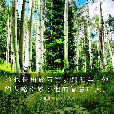 Picture 03 - 以 赛 亚 书 28:29 CUVS - 这 也 是 出 於 万 军 之 耶 和 华 ─ - Bible Verse Picture