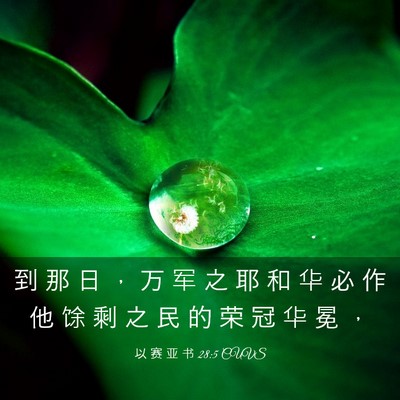 Picture 03 - 以 赛 亚 书 28:5 CUVS - 到 那 日 ， 万 军 之 耶 和 华 必 作 - Bible Verse Picture