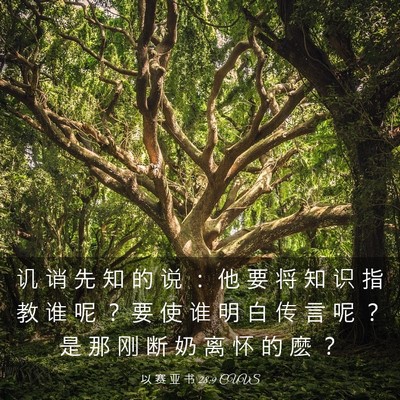 Picture 03 - 以 赛 亚 书 28:9 CUVS - 讥 诮 先 知 的 说 ： 他 要 将 知 识 - Bible Verse Picture