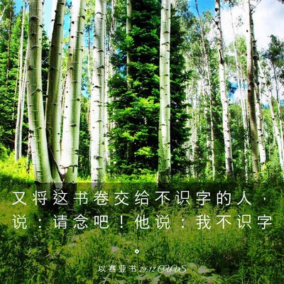 Picture 03 - 以 赛 亚 书 29:12 CUVS - 又 将 这 书 卷 交 给 不 识 字 的 人 - Bible Verse Picture
