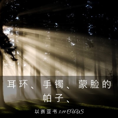 Picture 03 - 以 赛 亚 书 3:19 CUVS - 耳 环 、 手 镯 、 蒙 脸 的 帕 子 - Bible Verse Picture