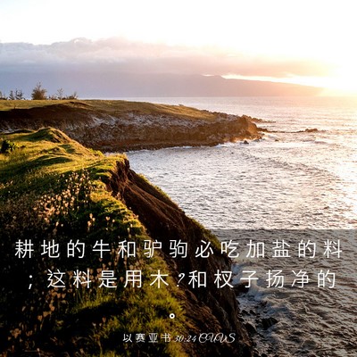 Picture 03 - 以 赛 亚 书 30:24 CUVS - 耕 地 的 牛 和 驴 驹 必 吃 加 盐 的 - Bible Verse Picture