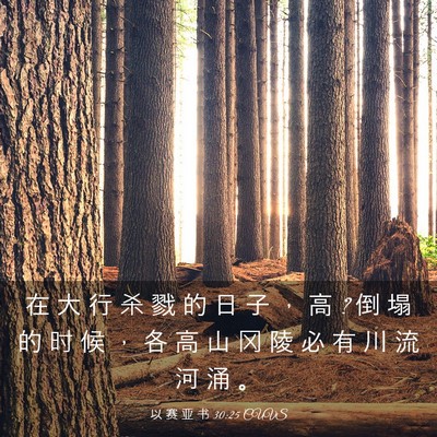 Picture 03 - 以 赛 亚 书 30:25 CUVS - 在 大 行 杀 戮 的 日 子 ， 高 ? 倒 塌 - Bible Verse Picture