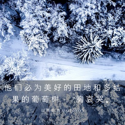 Picture 03 - 以 赛 亚 书 32:12 CUVS - 他 们 必 为 美 好 的 田 地 和 多 结 - Bible Verse Picture